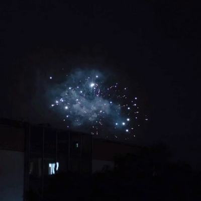 江苏南京市雨花台区赛虹桥街道小行社区：小“行”大爱红色合伙人——凝聚红色力量，助推基层治理创新