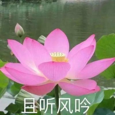 澎湃正能量，汇聚强大奋进动力